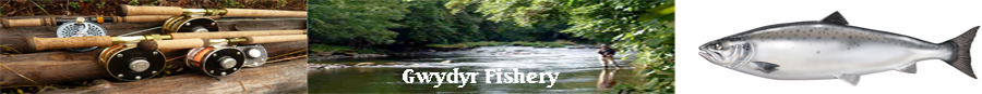 Gwydyr Fishery Betws-y-Coed